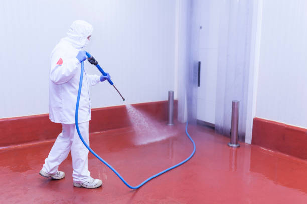 Best Parking Lot Cleaning in Coronita, CA